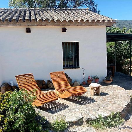 Villa Complejo Rural Del Molino Dorado Facinas Esterno foto