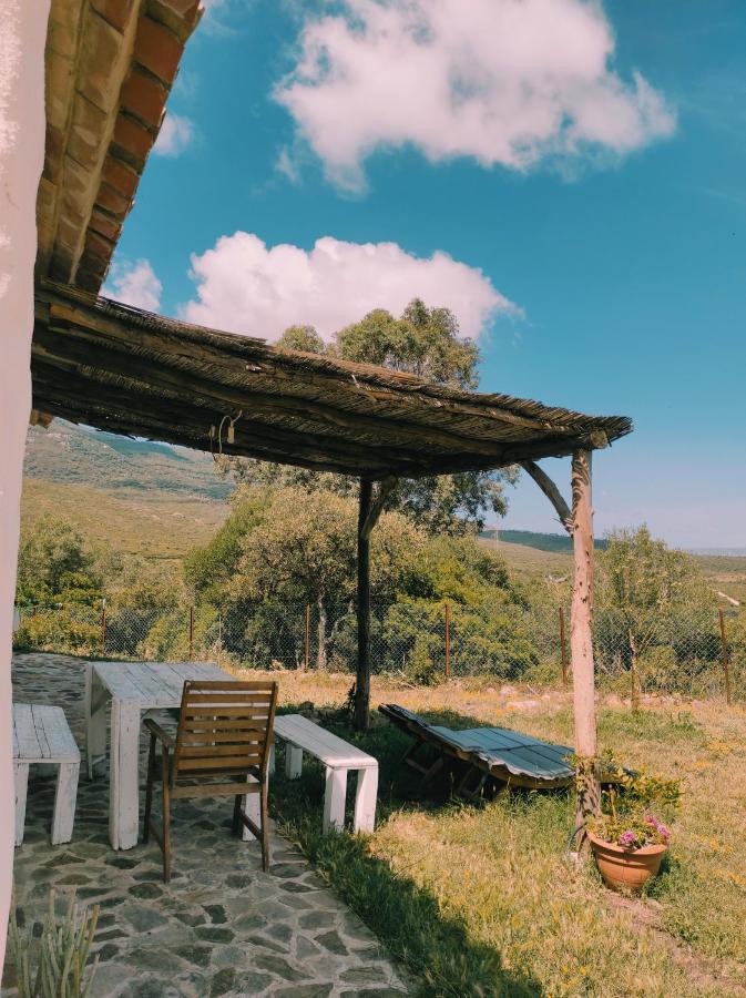Villa Complejo Rural Del Molino Dorado Facinas Esterno foto