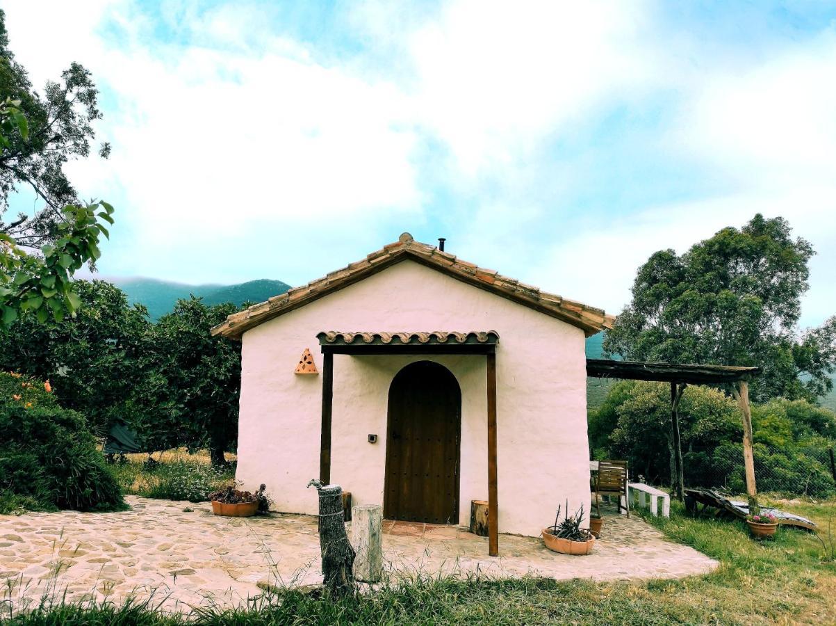 Villa Complejo Rural Del Molino Dorado Facinas Esterno foto